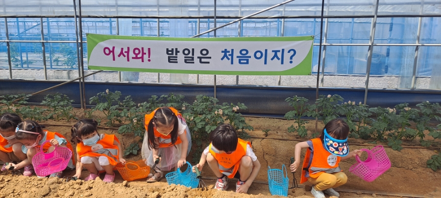 원이네 농장 이미지