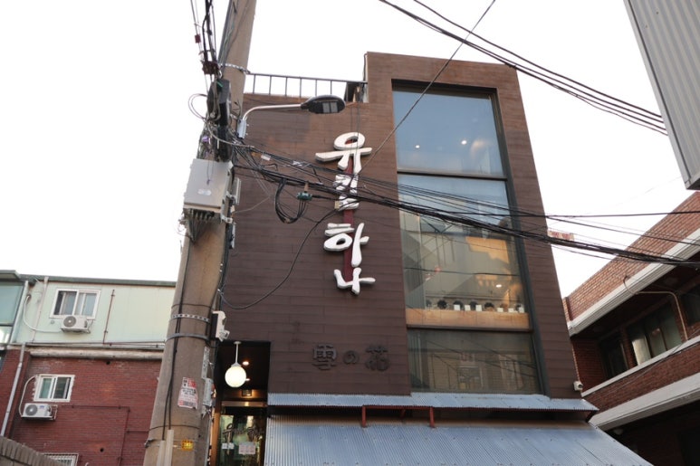 인생연어 이미지