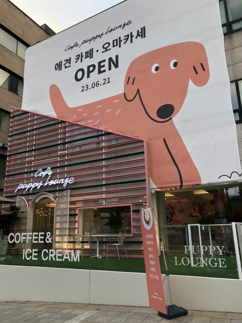 퍼피라운지 이미지