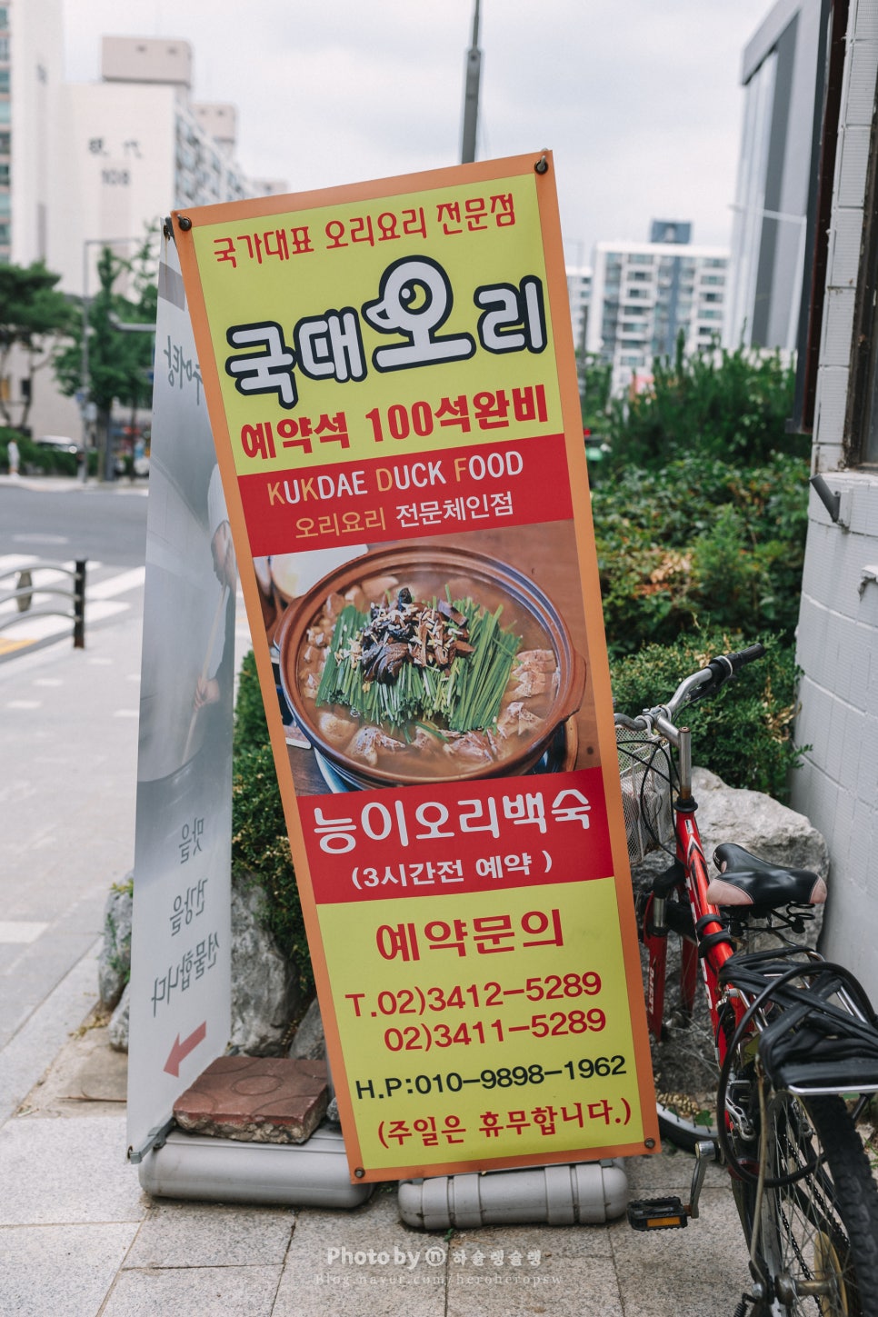국대오리 이미지