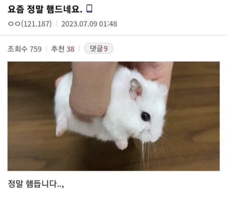두둥 이미지