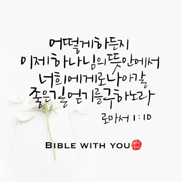 큐미디어 이미지