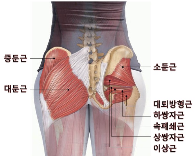 겟바디 이미지