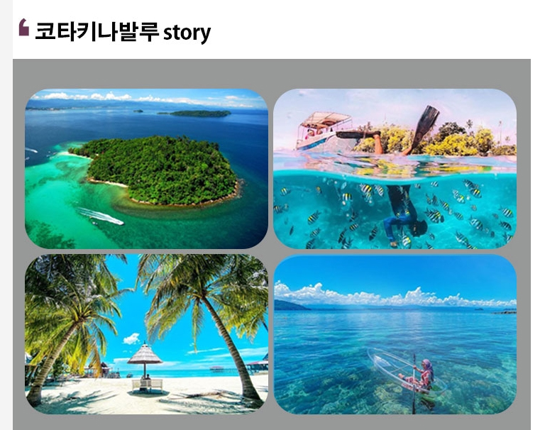 킹여행사(주) 이미지