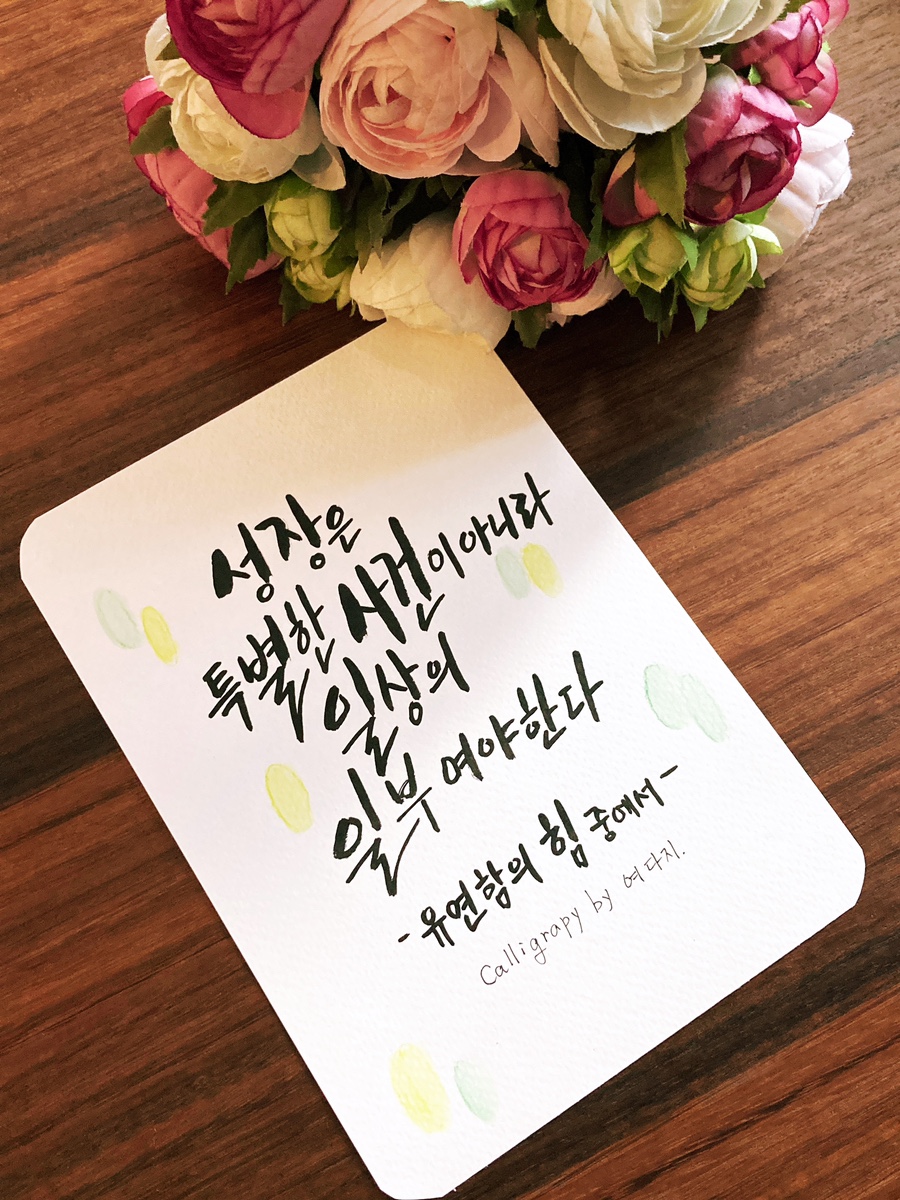 팍마켓 이미지