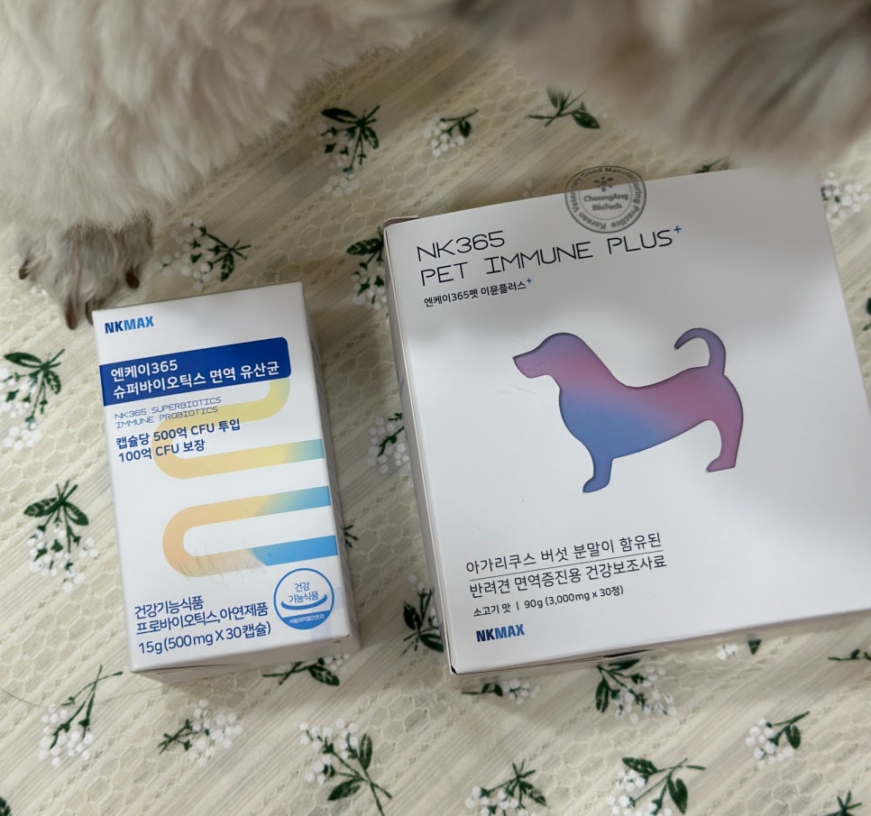 엔케이플러스 이미지