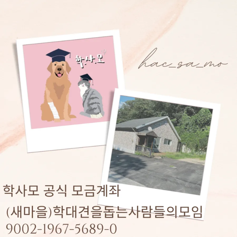 참좋은깔끔이 이미지