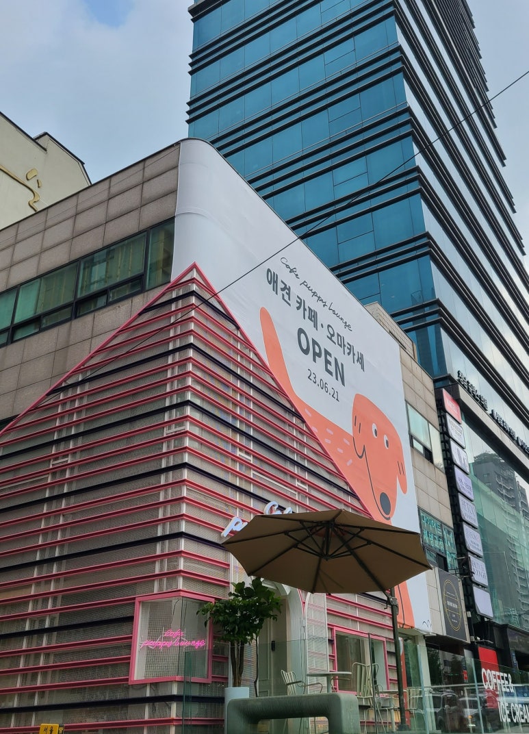 퍼피라운지 이미지