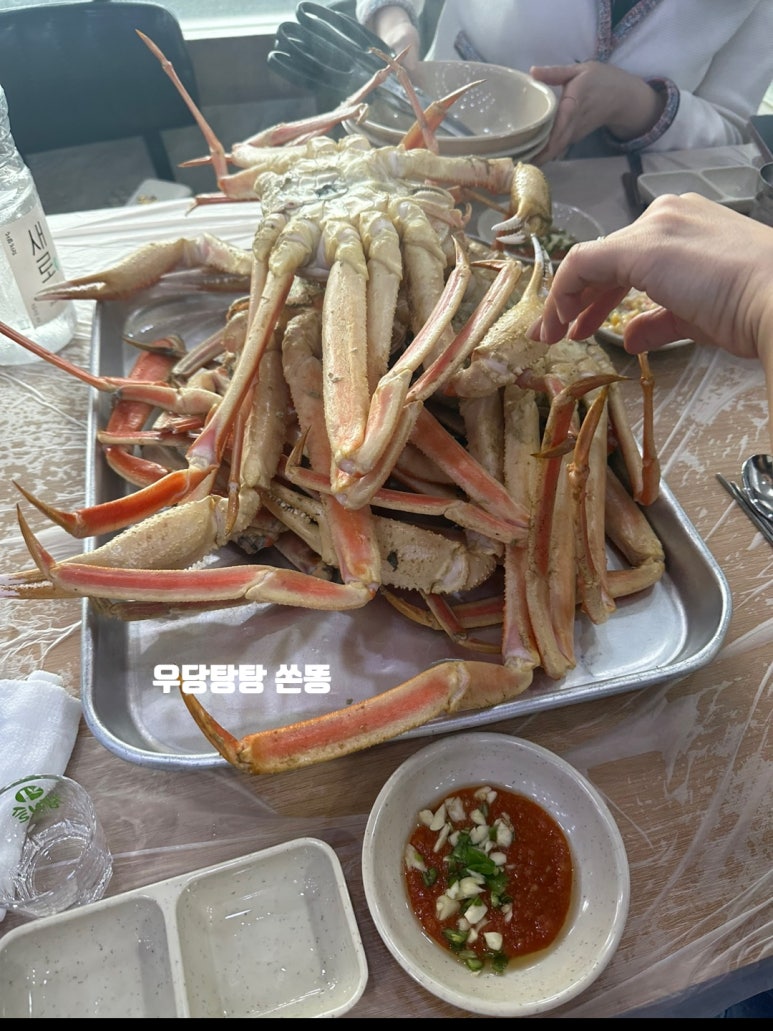 또순이회양념 이미지