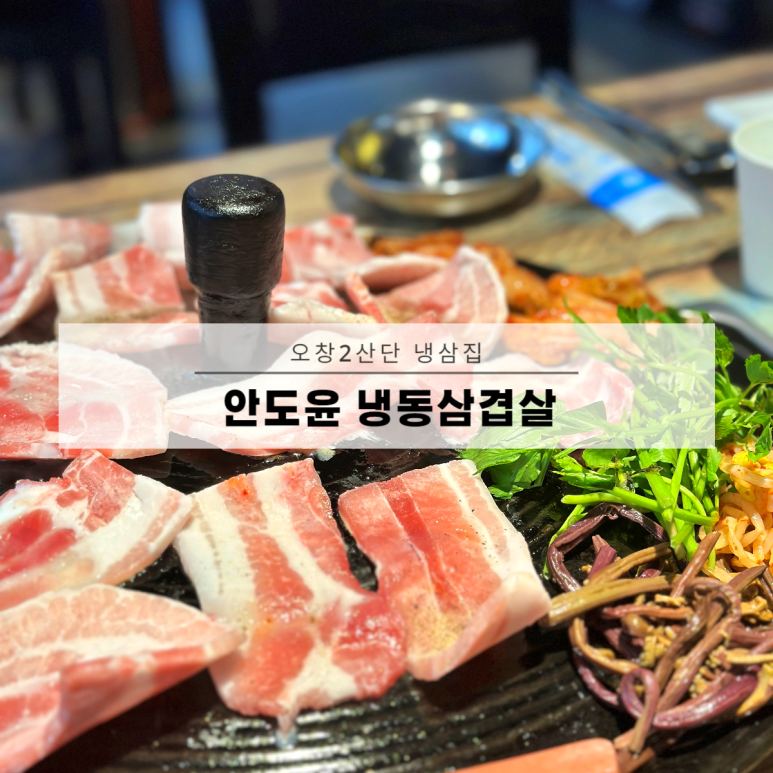 안도윤 냉동삼겹살 이미지