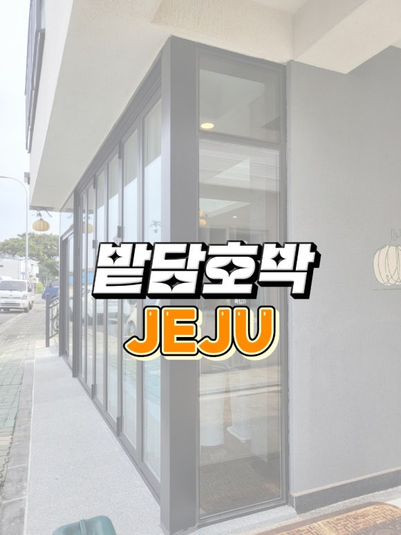 밭담호박 이미지