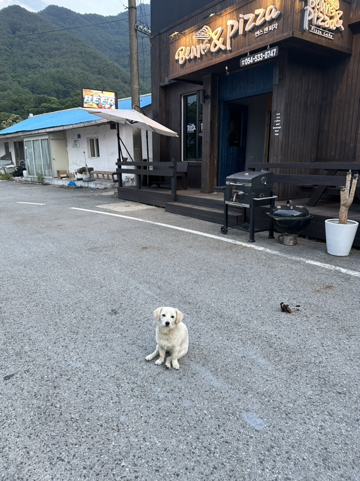 빈스앤피자 이미지