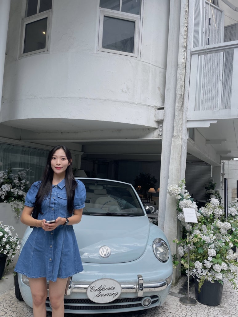 칼리프(CALIF) 이미지