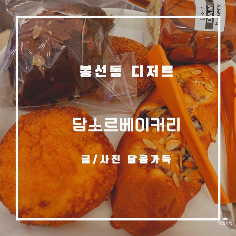 담소르 이미지