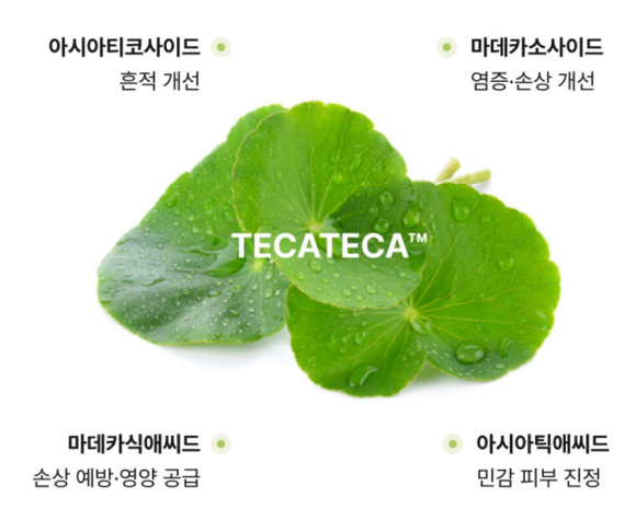테카테카 이미지