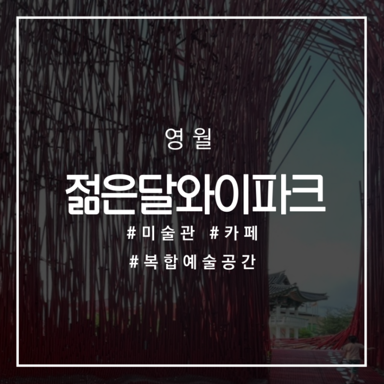 와이카페 이미지