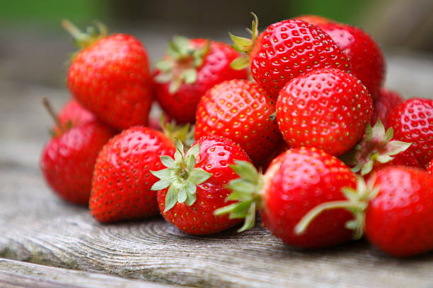 라.FRUTA 이미지