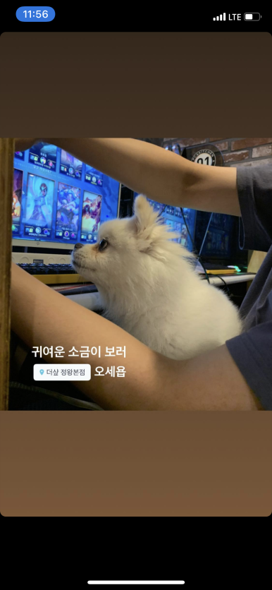 더샵피시방 이미지