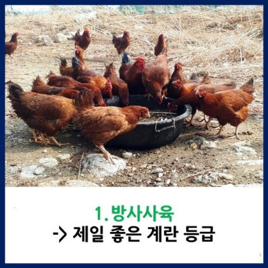해남식당 이미지