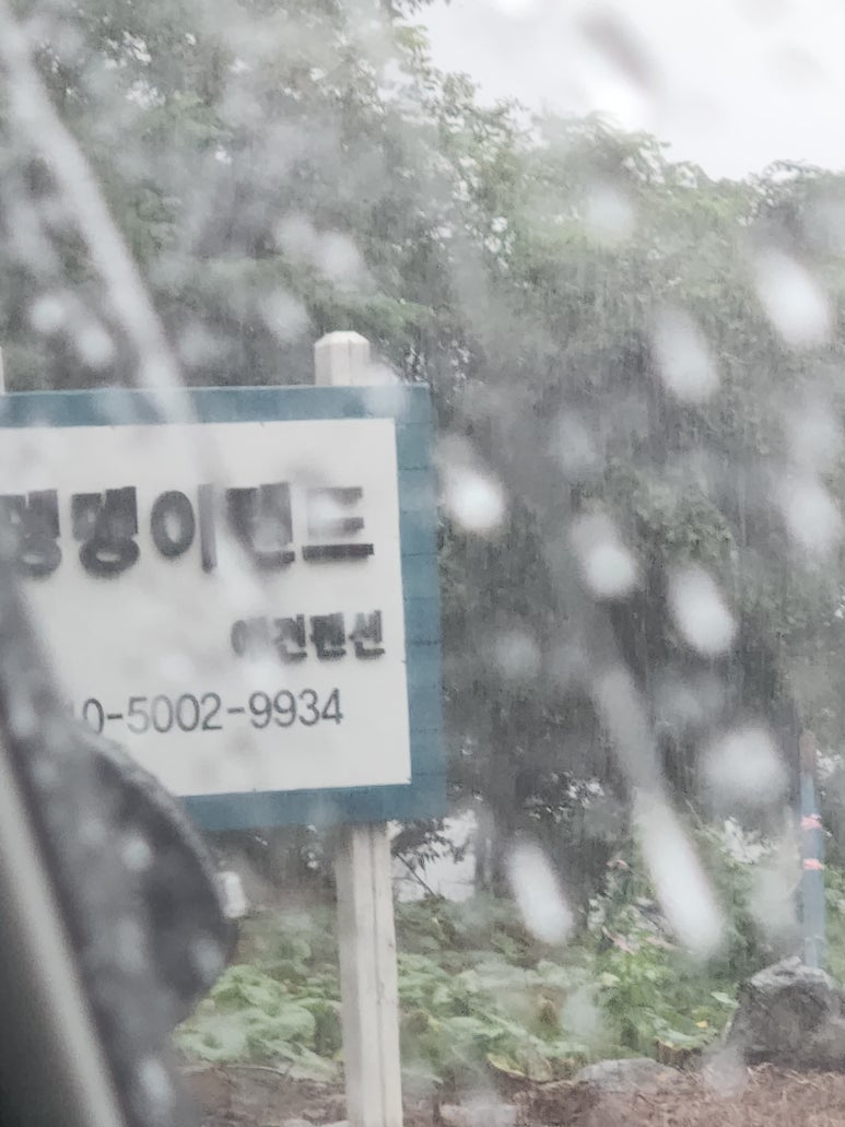 뎅뎅이랜드 이미지