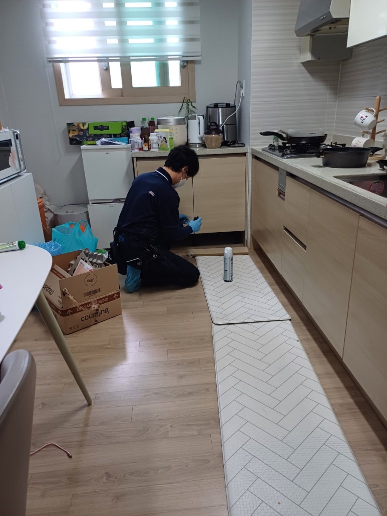 클린드림 이미지
