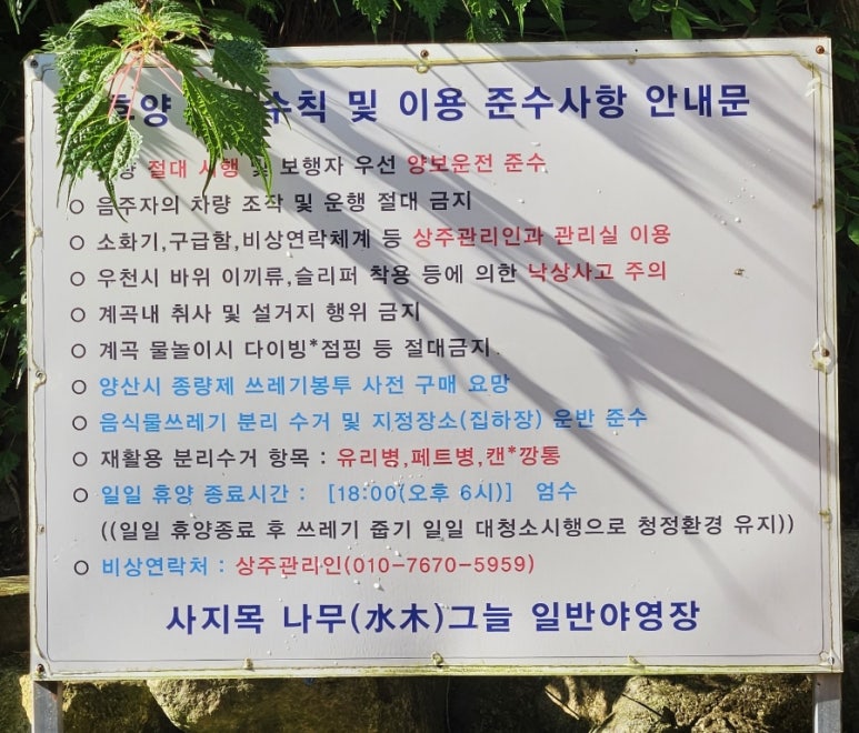 사지목나무그늘 이미지