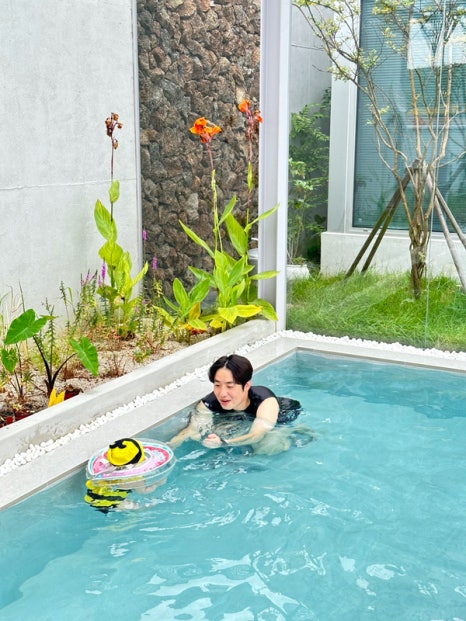 안유재 이미지