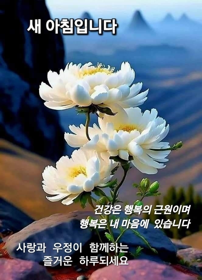 진주육전냉면 이미지