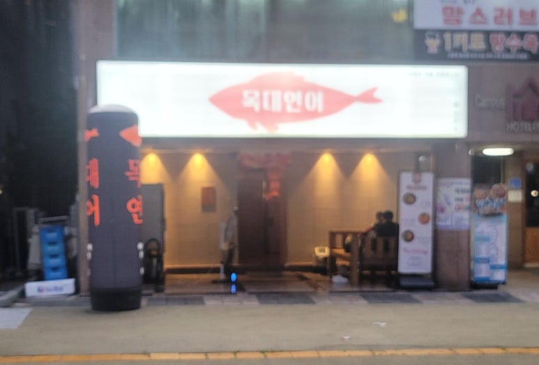 목대연어 이미지