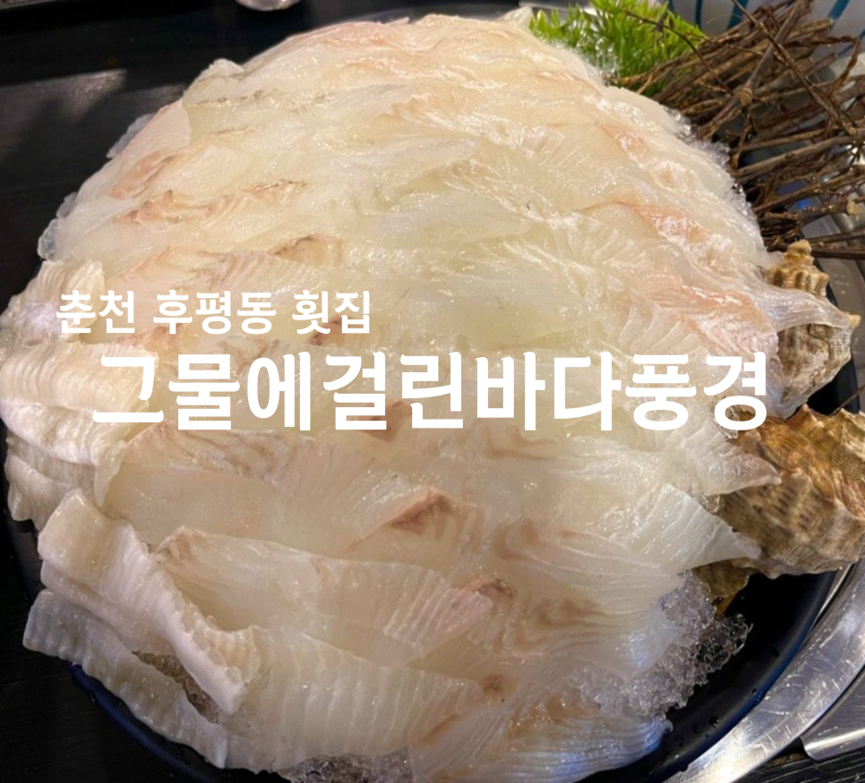 그물에걸린바다풍경 이미지