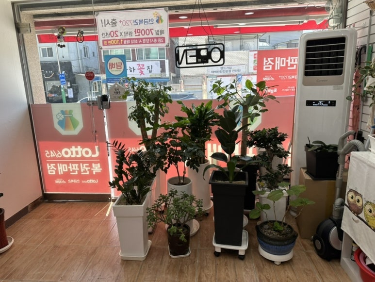 강원복권방 이미지