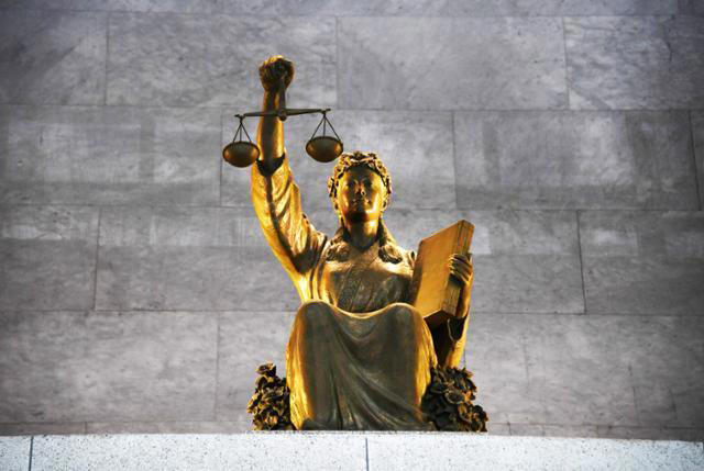 새희망행정사사무소 이미지