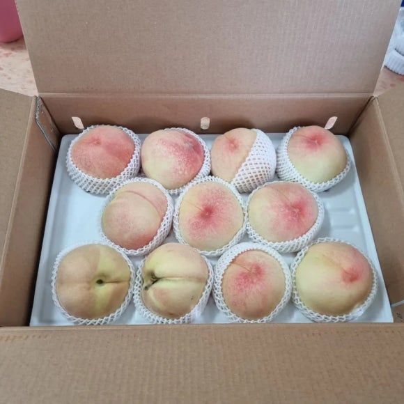 (주)젤라또코리아 이미지