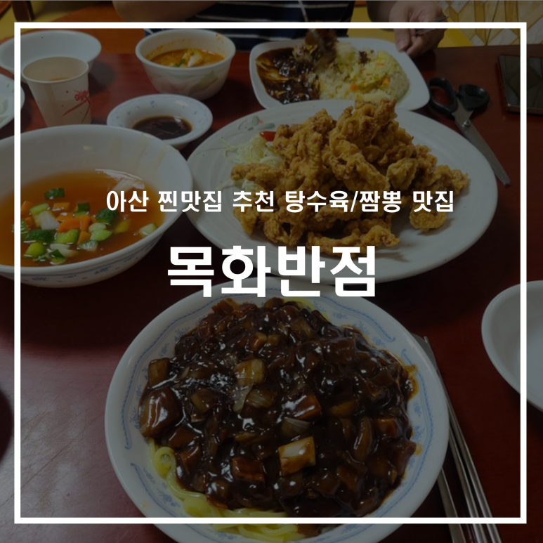 목화반점 이미지