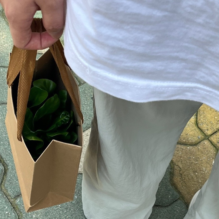 분즈 이미지