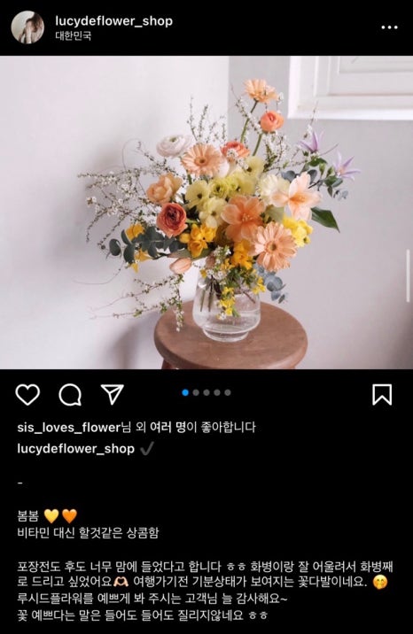 루시드플라워 이미지