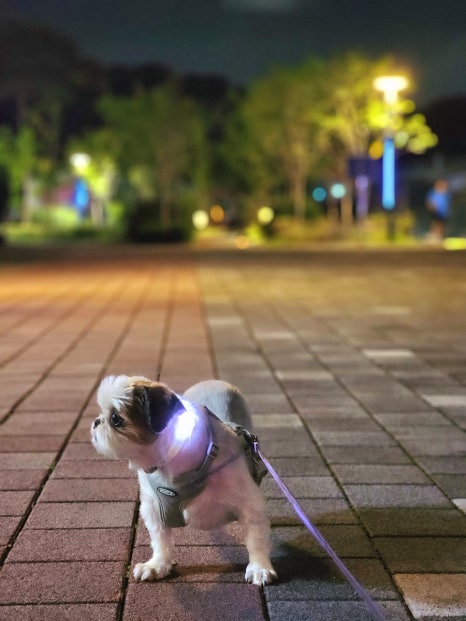 동작그만구미석적점 이미지