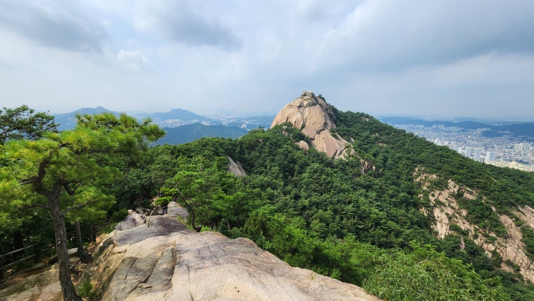 차마고원 이미지