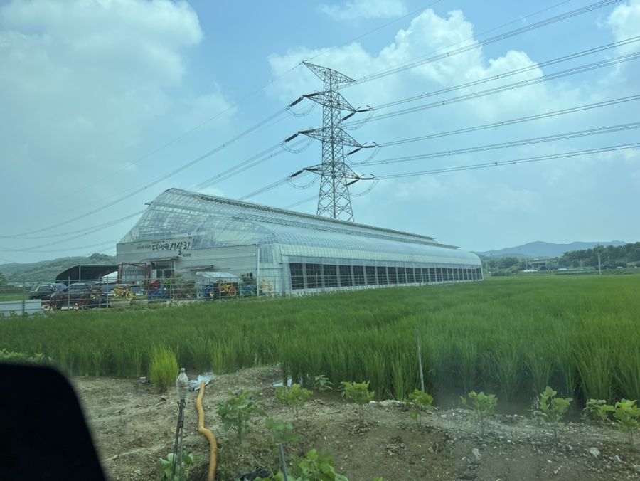 도한정원 시실리 이미지