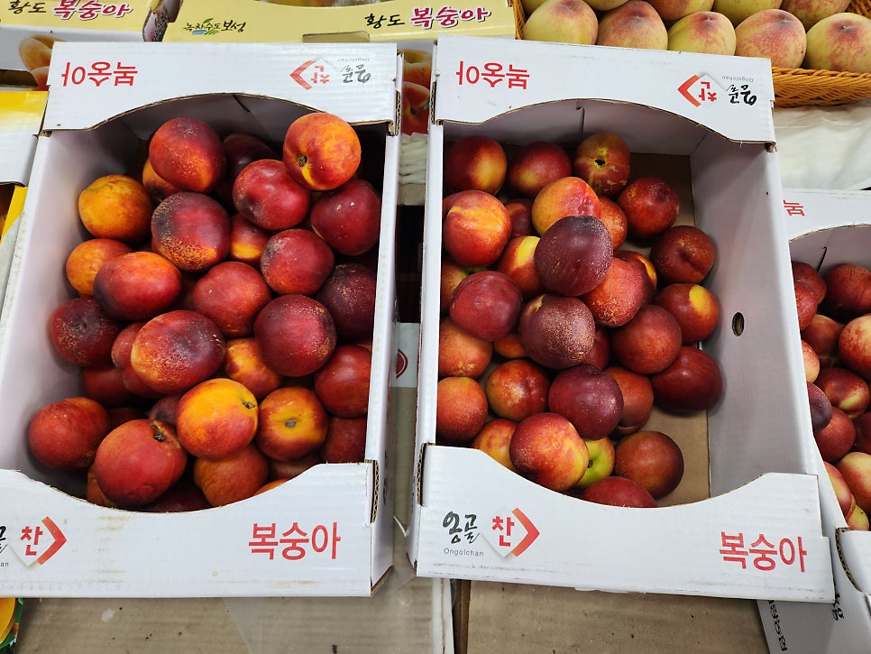 여왕청과 이미지