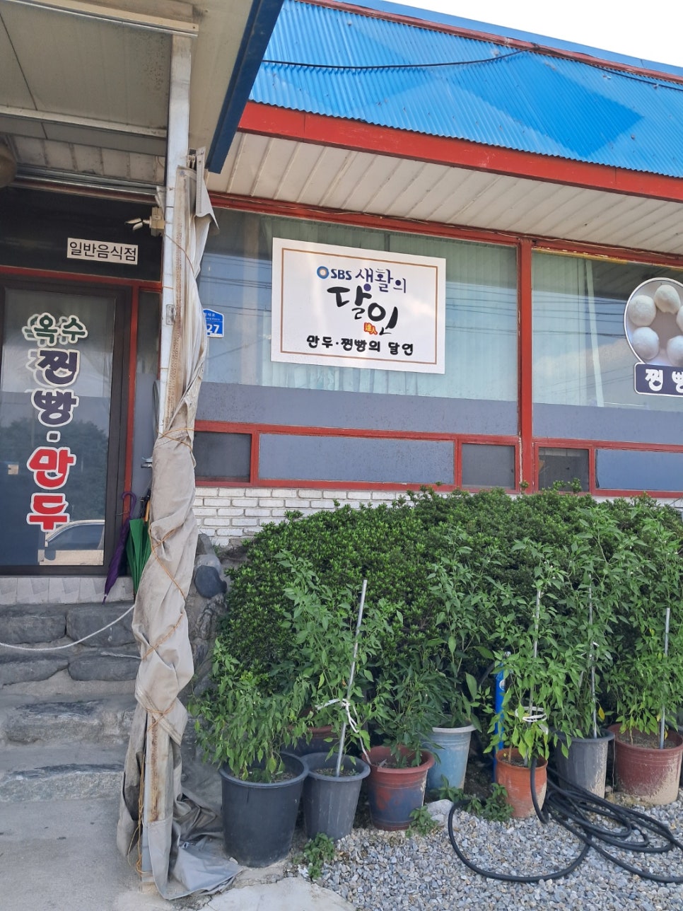 찐빵·만두 이미지