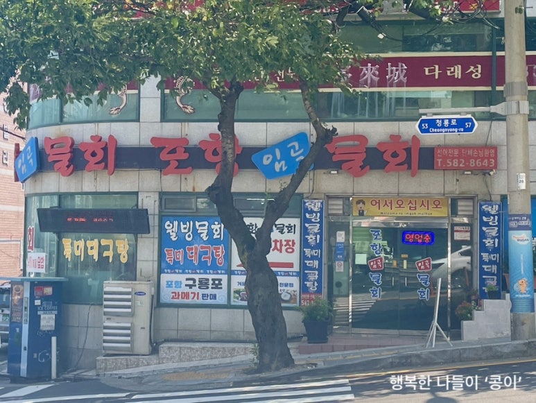 포항임곡물회 이미지