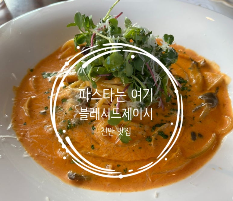 블레시드제이씨 이미지