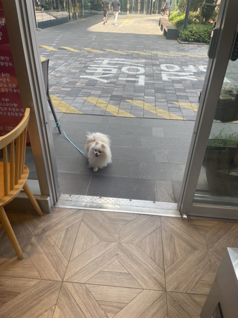 아모레퍼시픽오설록티하우스 이미지