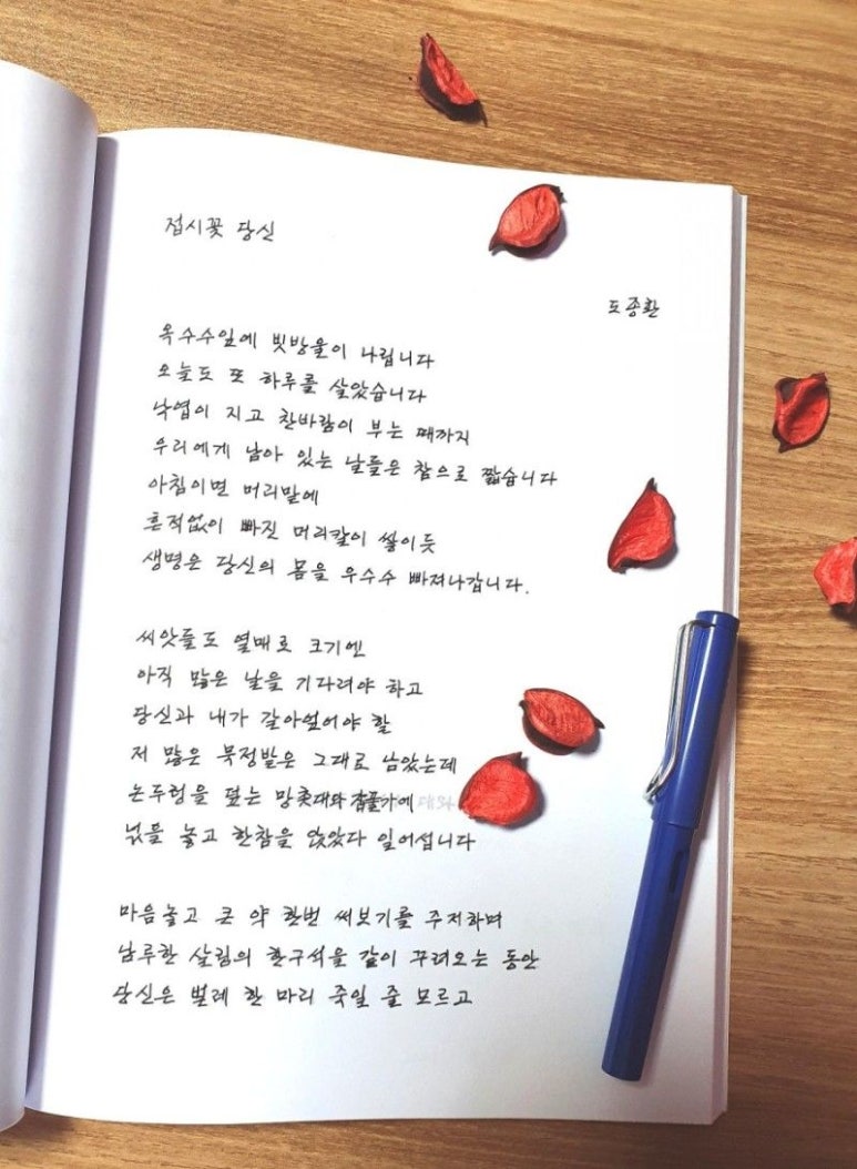 나무잠자리 이미지