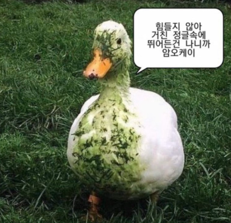 가나오케이 이미지