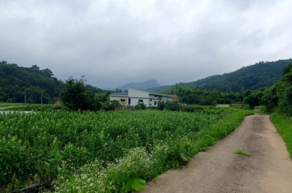 영미스튜디오 이미지