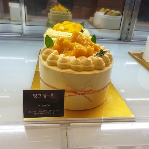 뚜쥬루거북이점 이미지