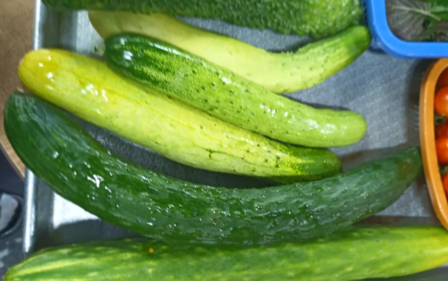 칠리숯불구이 이미지