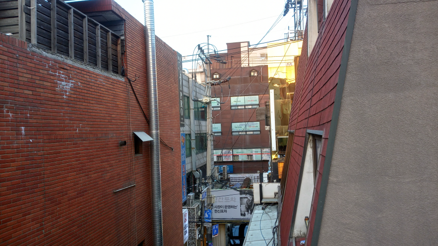 파라삐리포 이미지